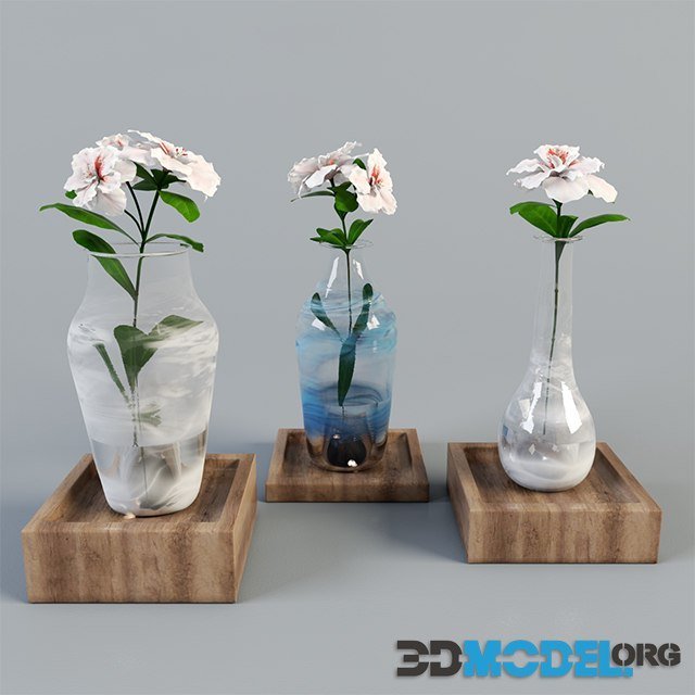 Azalea flower in glass vases with stand