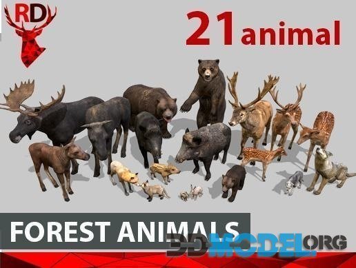 FOREST ANIMALS short version (21 animals)