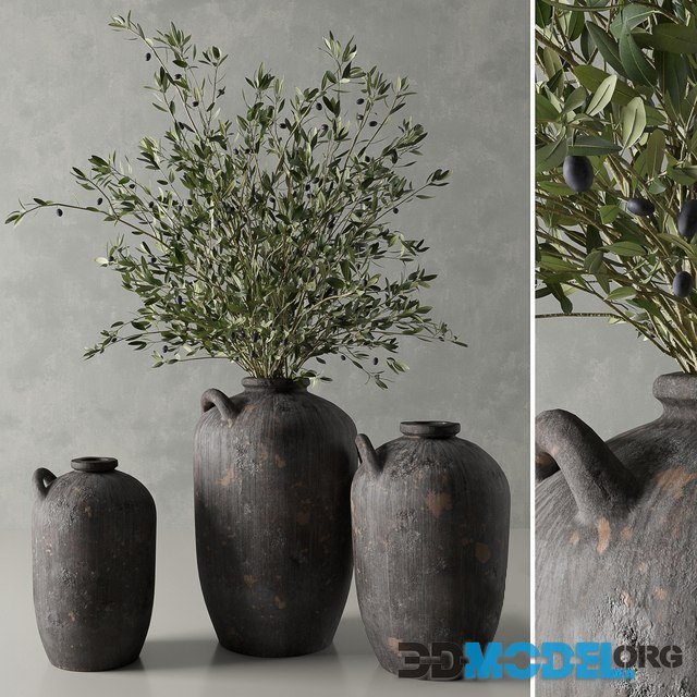 Olive in a Spanish Water Vessel by Restoration Hardware