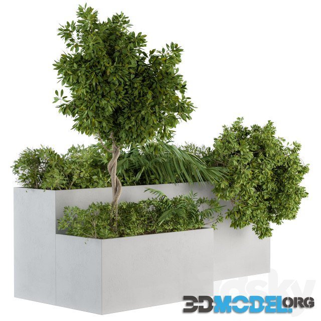 Outdoor Plants Concrete Box Set 45 (for environment)