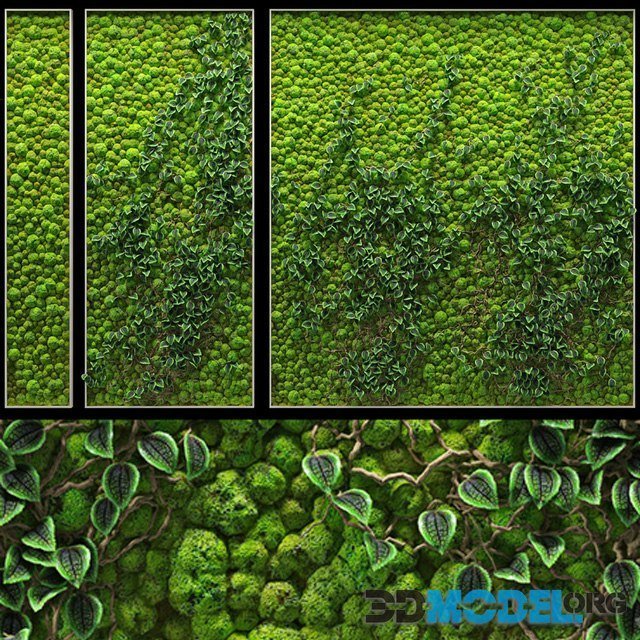 Phytowall from several panels