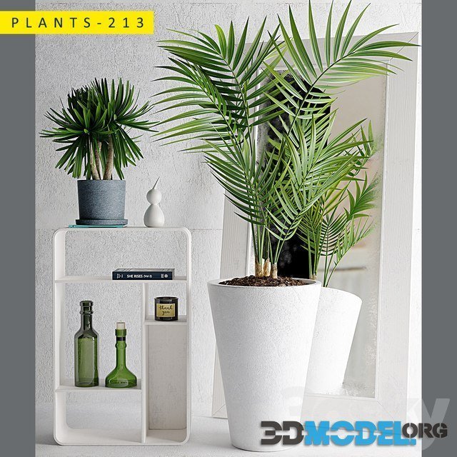 Plants 213 with palm