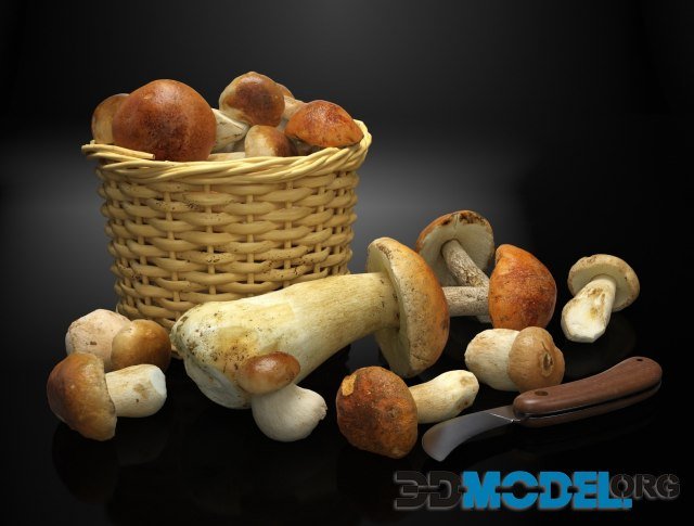 Set with wild mushrooms (3D-Scan)