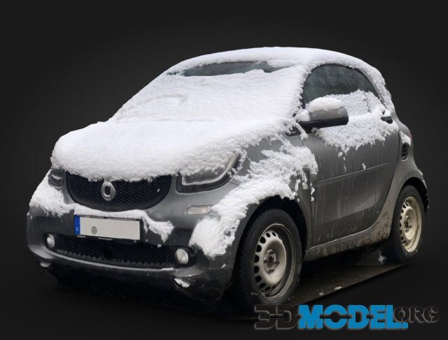 Smart Car Under Snow