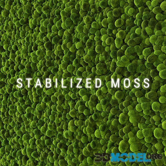 Stabilized Moss, Panel
