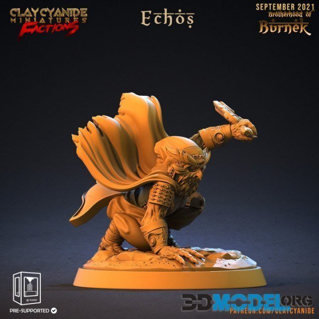 Echos – Figure