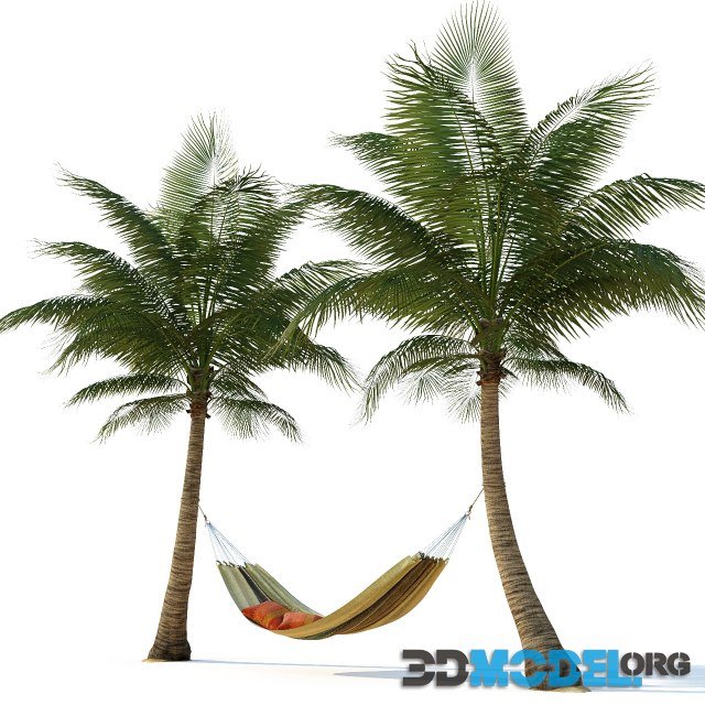 Hammock on Palm Trees (tropic set)