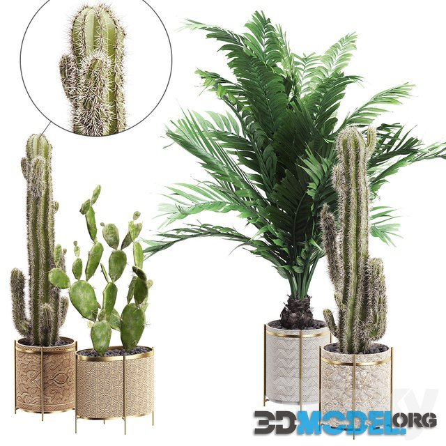 INTERIOR FLOWER PACK 20 (palm and prickly cacti)