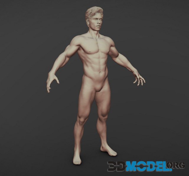Man Realistic Sculpt