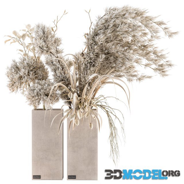 Dry Plants 39 (Dried Plant Pampas in a vase)