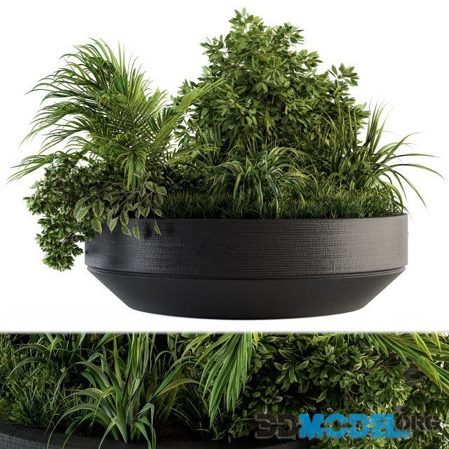 Outdoor Plants Tree and grass in Concrete Pot Set 144