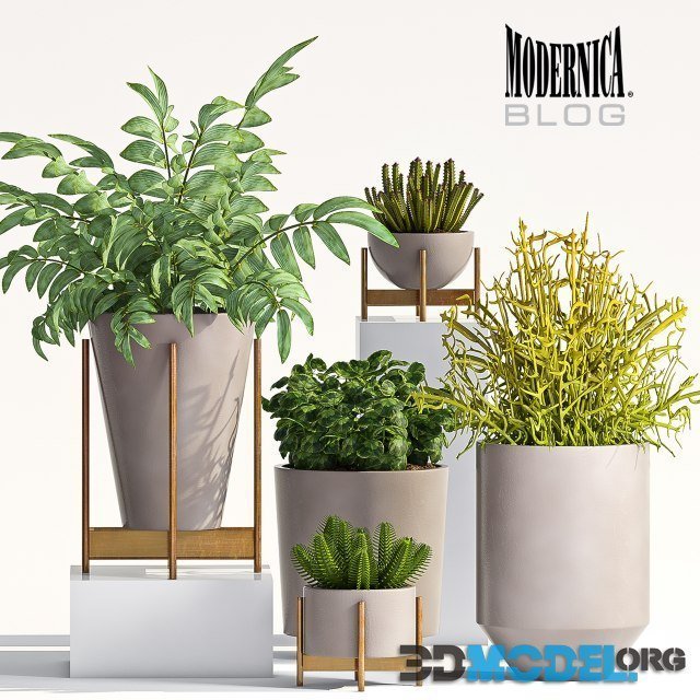 Decorative planter set (Modernica flowerpot)