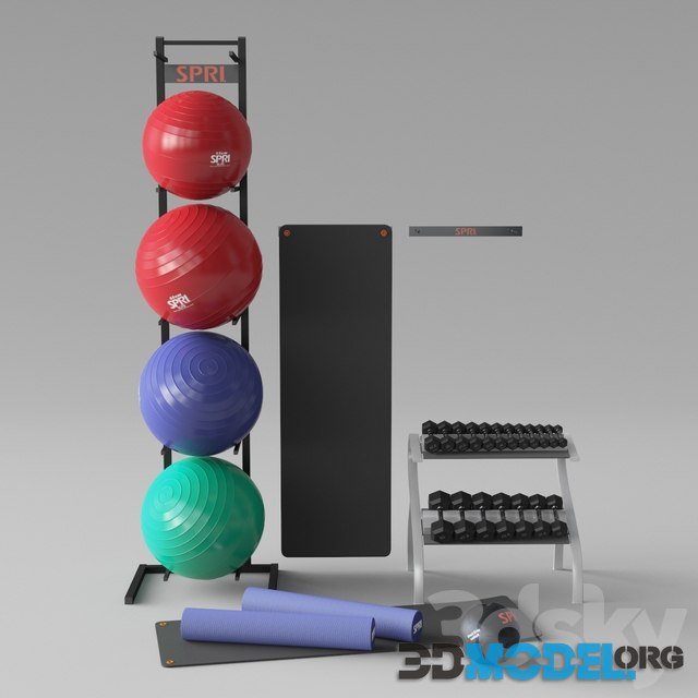 SPRI Sports Equipment (balls, dumbbells, mats)
