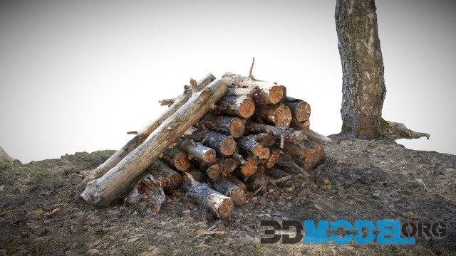 A stack of sawn logs