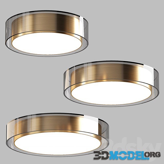 Aliexpress Ceiling Lamp (modern style)