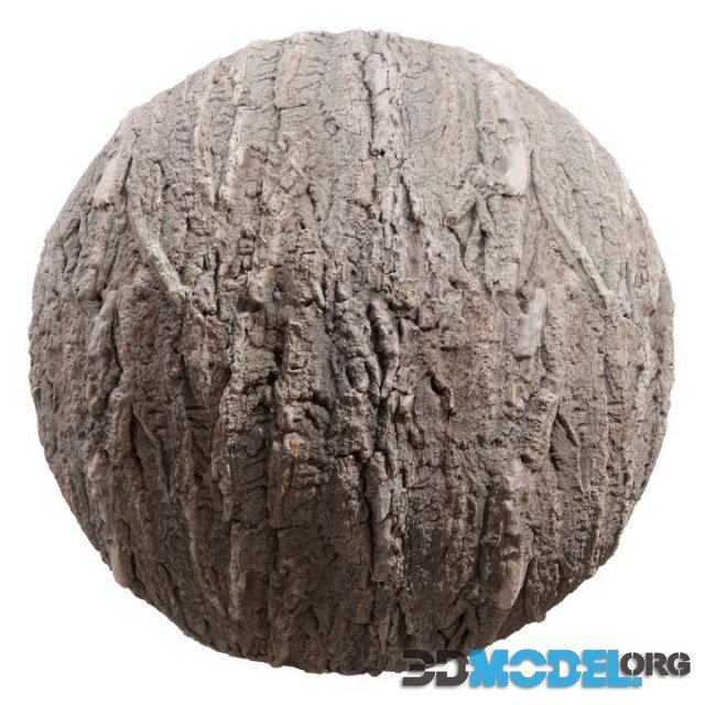 Bark04