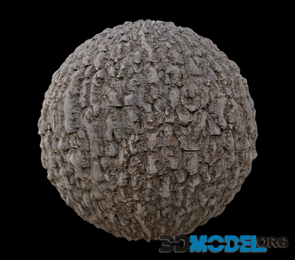 Bark pine 001 2K