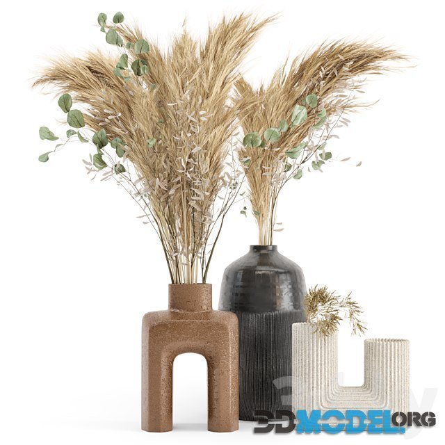 Dry Plants 19 with Concrete Vase