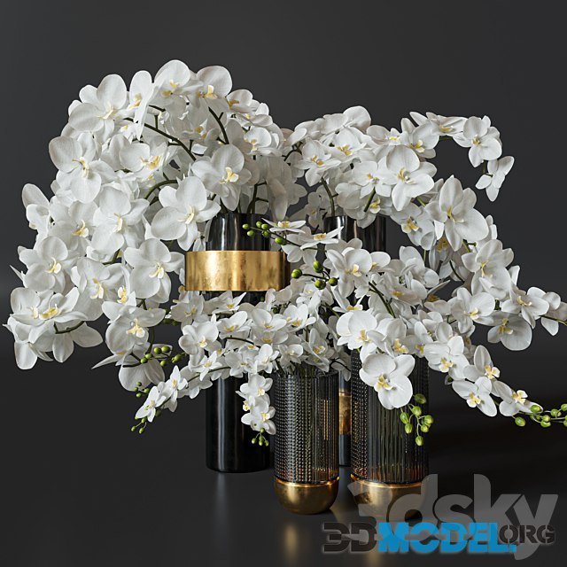Flower Set 009 (white orchids)