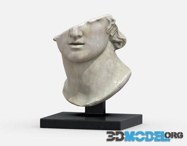 Head of a Youth Sculpture PBR