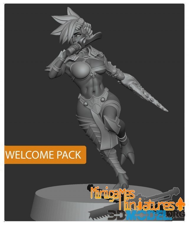 3D Model Minigames Miniatures Welcome Pack Demonesse Printable 