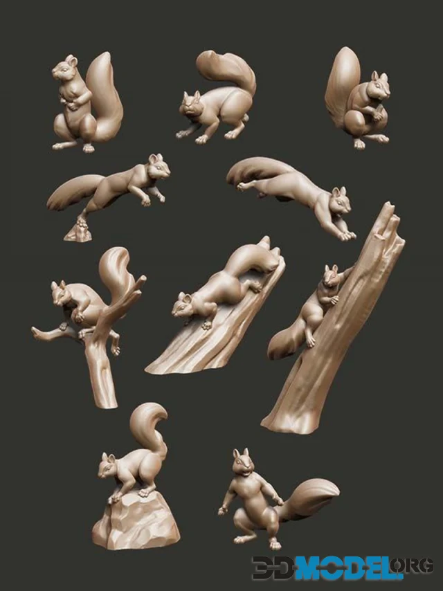 Critters - Squirrels – Printable