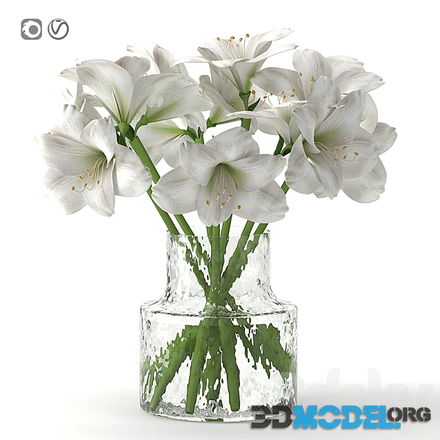 Glass vase with White Hippeastrum (Bouquet 16)