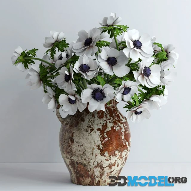 Ceramic vase with white anemones coronaria