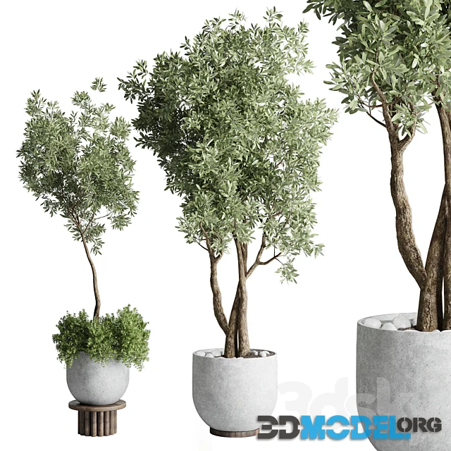 Collection Outdoor Indoor Plant 52 (green trees)