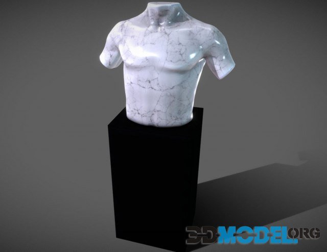 Marble Male Torso Statue PBR