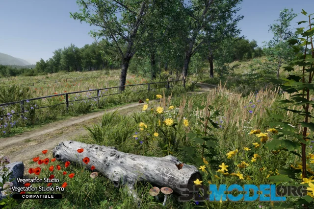 Meadow Environment - Dynamic Nature
