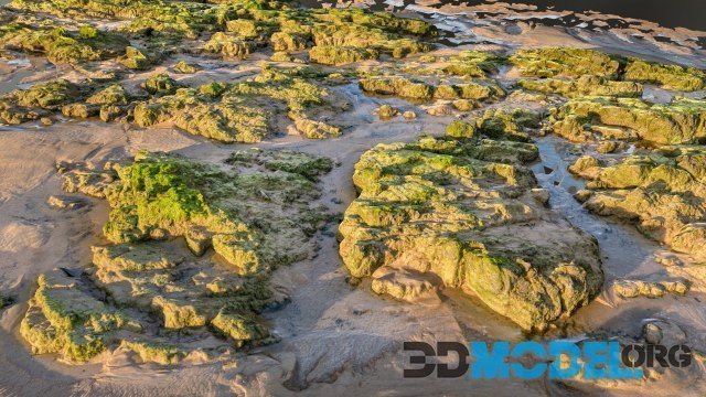 Mossy beach rocks at sunset PBR