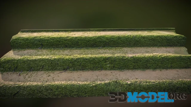 Stairs with moss and sand