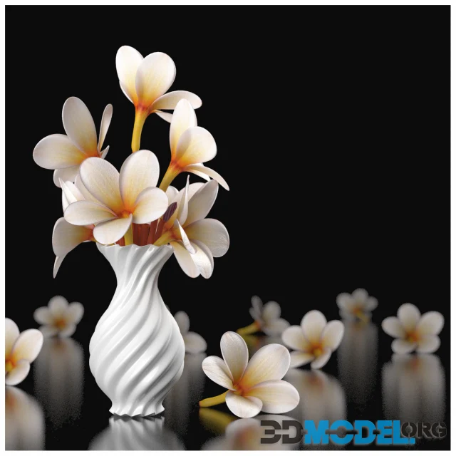 Vase with PLUMERIA FLOWERS