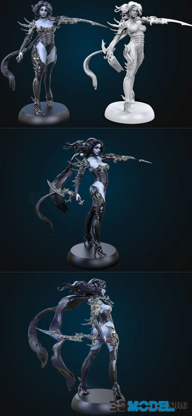 3d Model Assassin Printable 