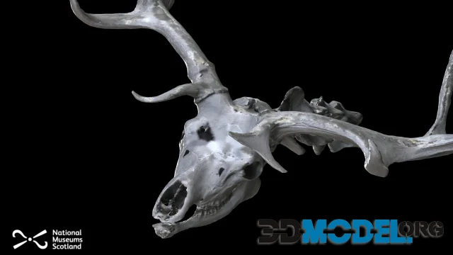Giant deer (PBR)