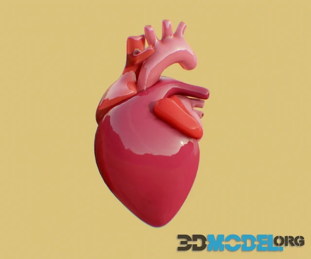 Human Heart (PBR)