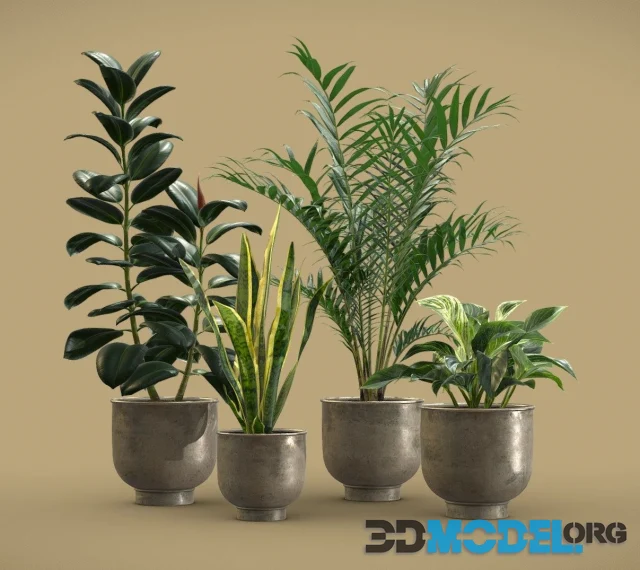 Indoor Plants Pack 20 PBR