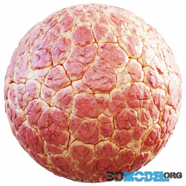 Meat 32-48