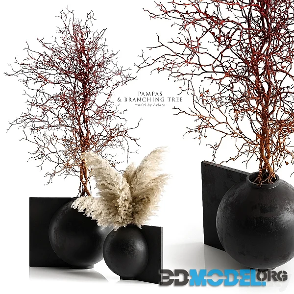 Pampas & Branching Tree in concrete vases