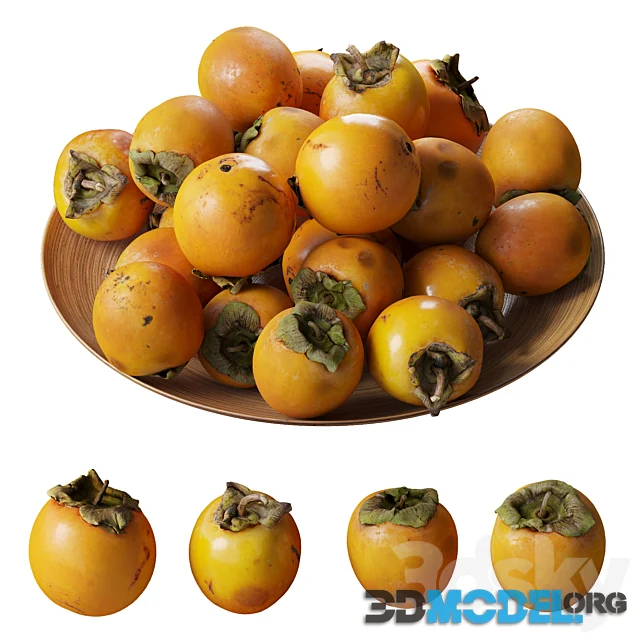 Persimmon Kinglet on a Platter Hi-Poly