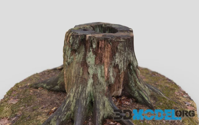 Tree stump PBR