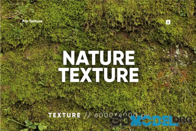 20 Nature Texture HQ