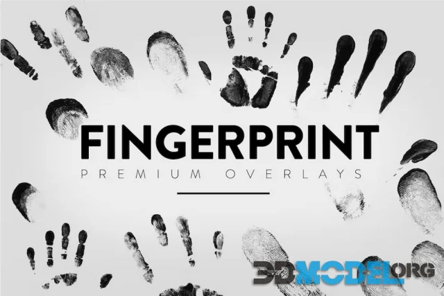 30 Fingerprint Overlay