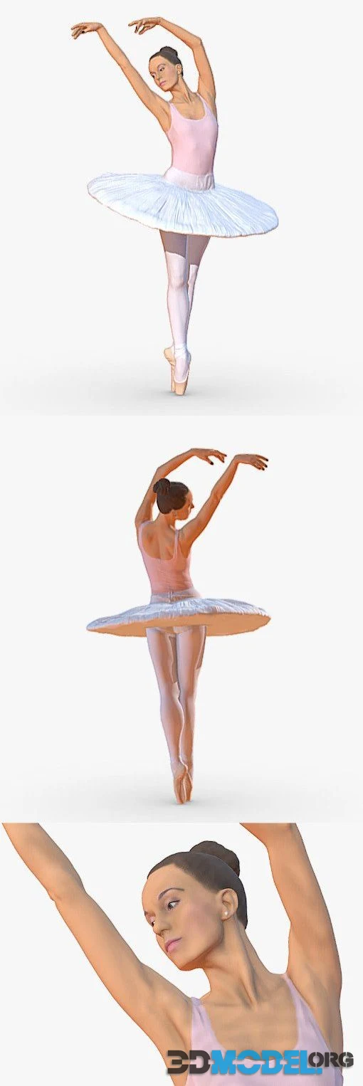 Ballerina 0116 (PBR)