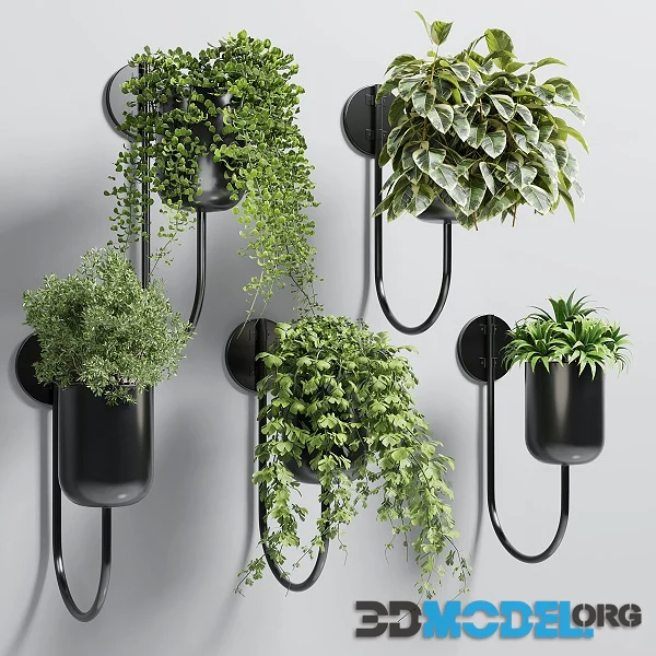 Collection Indoor Plant 135 Vase Metal Stand Wall Plant Hi-Poly