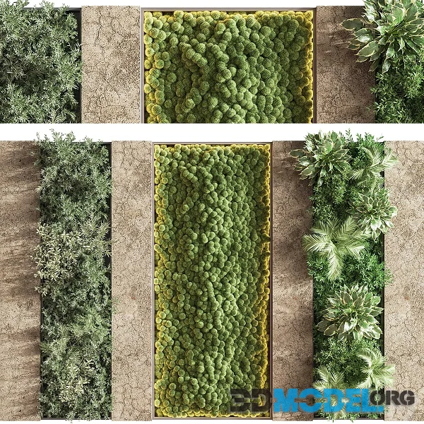 Concrete and Vertical Garden 02 (moss phytowall)