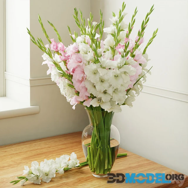 Gladiolus bouquet in a vase