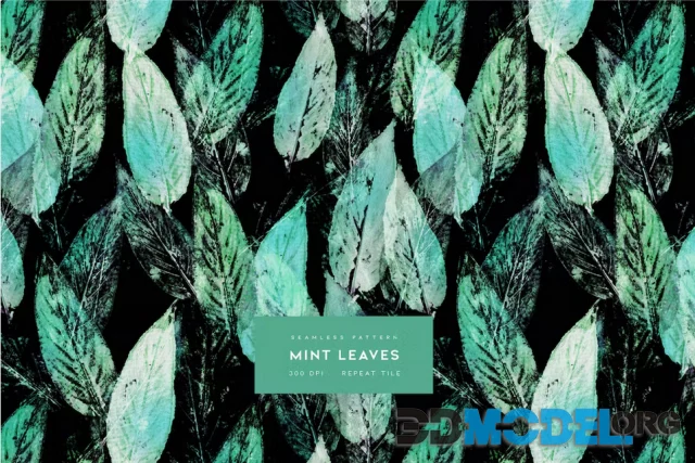 Mint Leaves