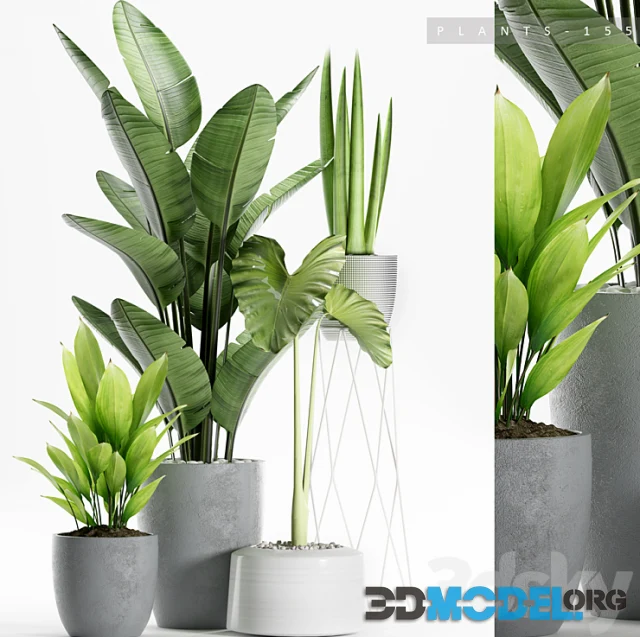 3D Model – Modern style PLANTS 155